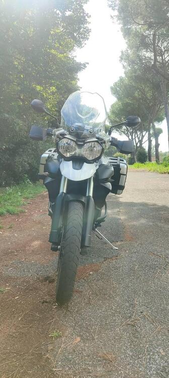 Triumph Tiger 800 XC ABS (2010 - 14) (5)