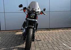 Harley-Davidson 1200 XR (2009 - 12) usata