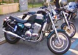 Triumph Thunderbird 900 (1995 - 01) usata