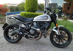 Ducati Scrambler 800 Icon (2017 - 20) usata
