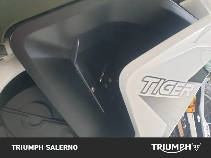 Triumph Tiger 900 Rally Pro (2020 - 23) (16)