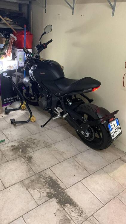 Triumph Trident 660 (2021 - 24)