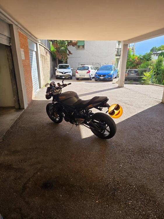 Triumph Street Triple R (2009 - 12) (4)