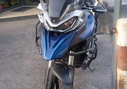 QJ Motor SRT 800 (2023 - 25) usata