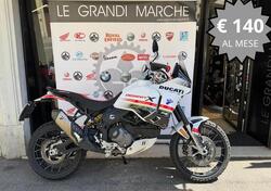 Ducati DesertX (2022 - 25) usata