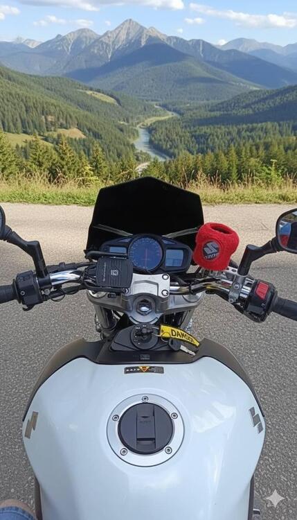 Suzuki GSR 600 (2006 - 11) (2)