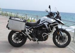 Triumph Tiger 900 GT (2024 - 25) usata