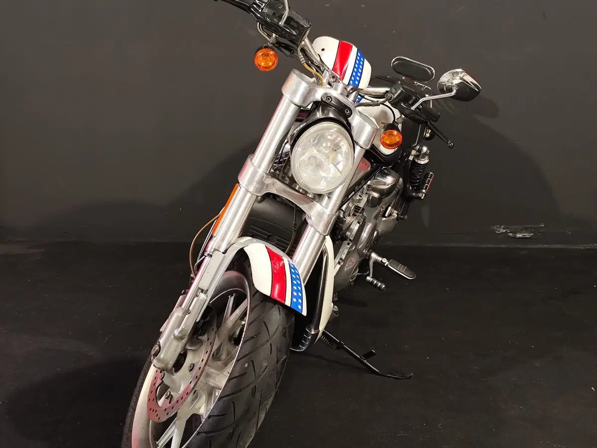 Harley-Davidson 1130 Street Rod (2006 - 07) - VRSCR (3)
