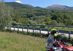 Aprilia Tuareg 660 (2022 - 24) usata