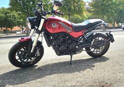 Benelli Leoncino 500 (2021 - 25) usata