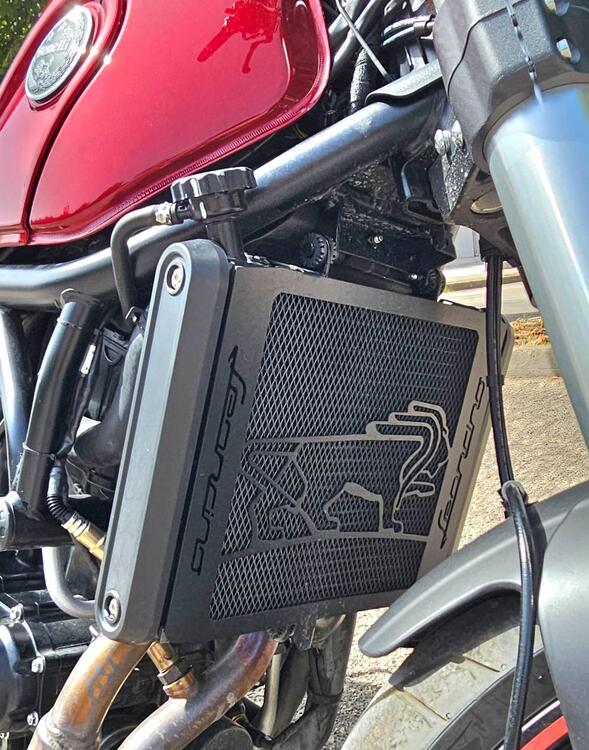 Benelli Leoncino 500 (2021 - 25) (4)