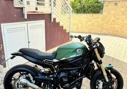 Benelli Leoncino 800 (2022 - 25) usata