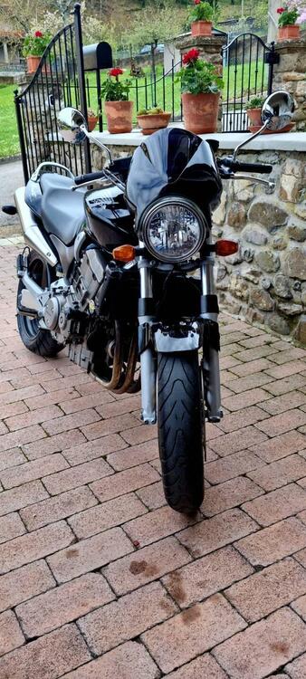 Honda Hornet 900 (5)