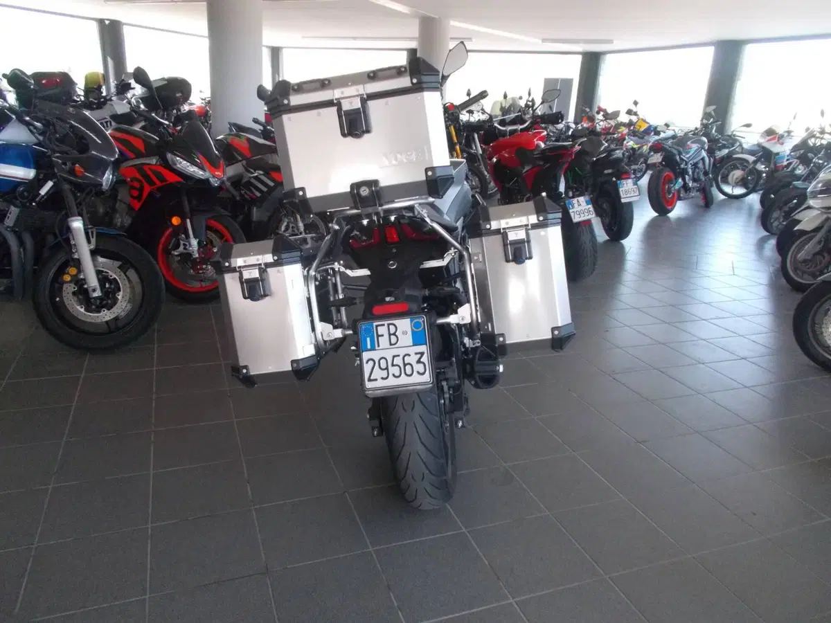 Voge Valico 500DS (2021 - 24) (3)