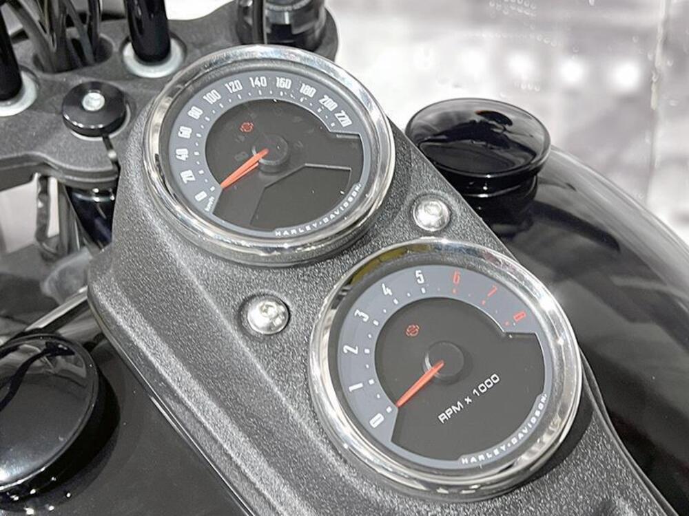 Harley-Davidson 110 Dyna (2007) - FXDSE (5)