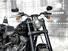 Harley-Davidson 110 Dyna (2007) - FXDSE (9)
