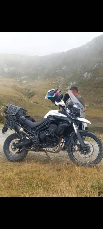 Triumph Tiger 800 XC ABS (2010 - 14) (2)