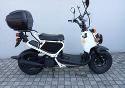 Honda Zoomer usata