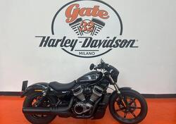 Harley-Davidson Nightster (2023 - 25) usata