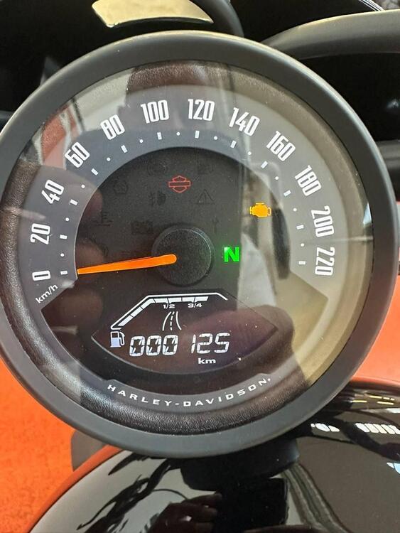 Harley-Davidson Nightster (2023 - 25) (4)