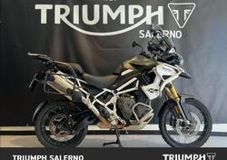 Triumph Tiger 1200 Rally Pro (2022 - 23) usata