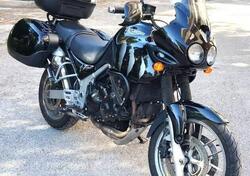 Triumph Tiger 955 (2002 - 06) usata
