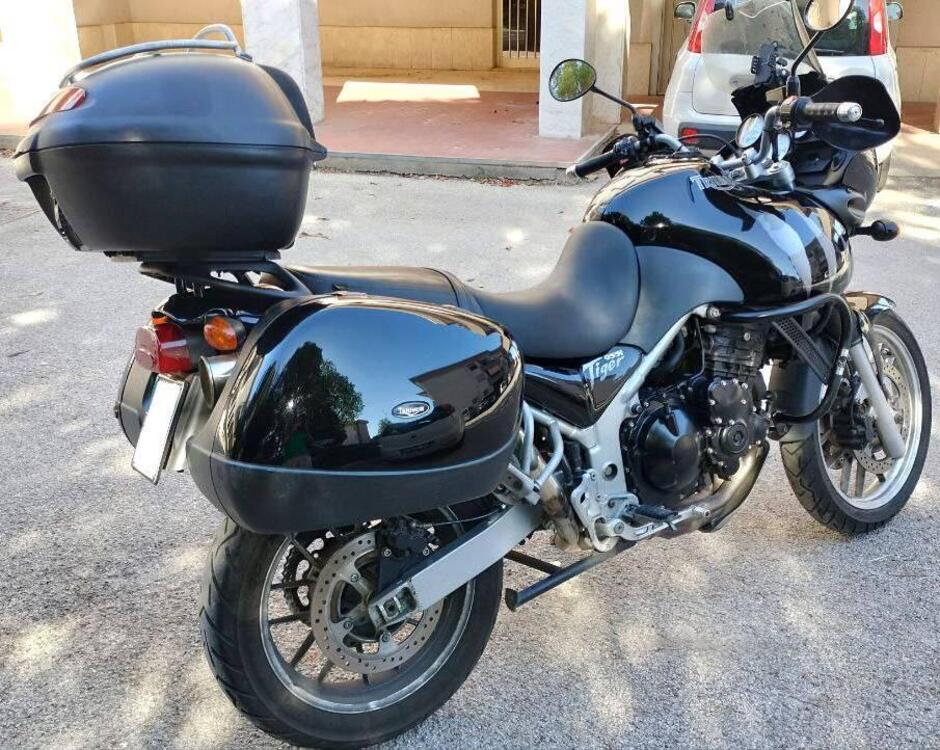 Triumph Tiger 955 (2002 - 06) (5)
