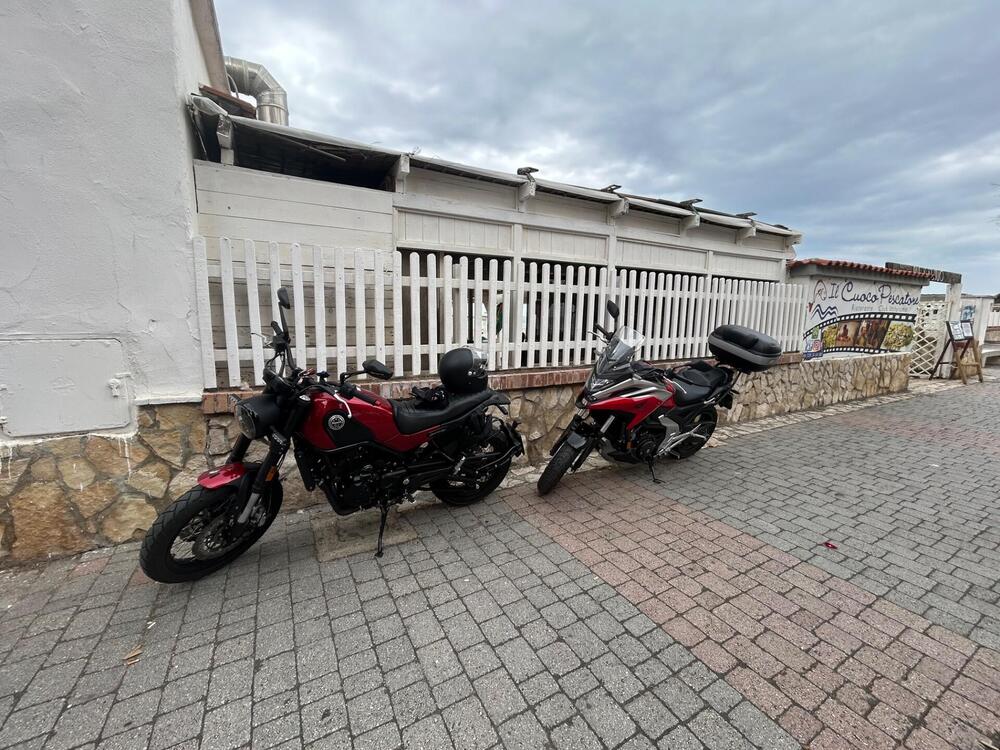 Benelli Leoncino 500 (2021 - 25) (2)