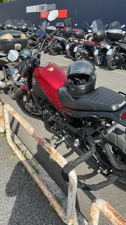 Benelli Leoncino 500 (2021 - 25) (3)
