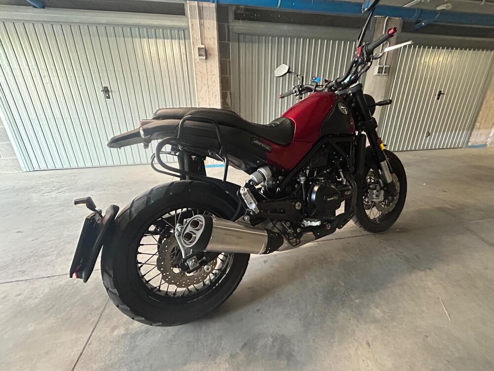 Benelli Leoncino 500 (2021 - 25) (4)