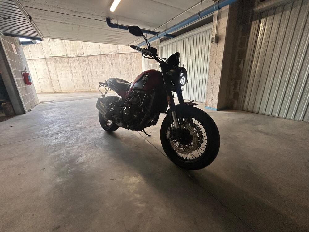 Benelli Leoncino 500 (2021 - 25) (5)