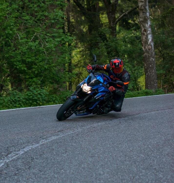 Suzuki GSX S 750 Yugen (2018 - 20) (2)