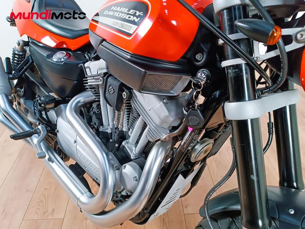 Harley-Davidson 1200 XR X (2010 - 12) (5)