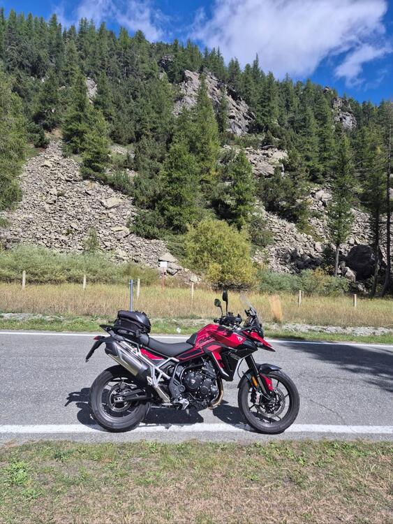 Triumph Tiger 900 GT Pro (2024 - 25)