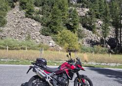 Triumph Tiger 900 GT Pro (2024 - 25) usata