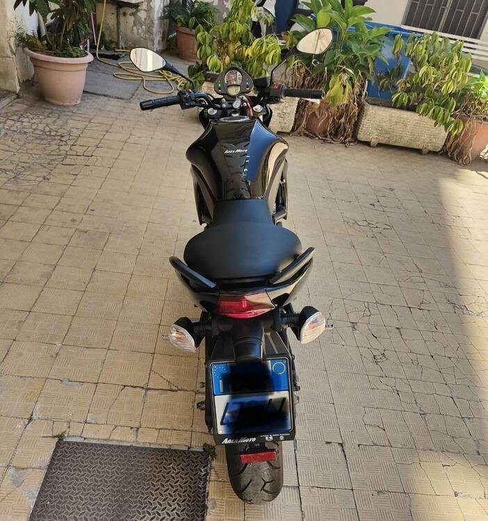 Kawasaki ER-6N (2005 - 08) (5)