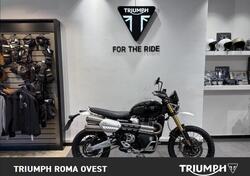 Triumph Scrambler 1200 XE (2024 - 25) usata