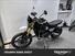 Triumph Scrambler 1200 XE (2024 - 25) (10)