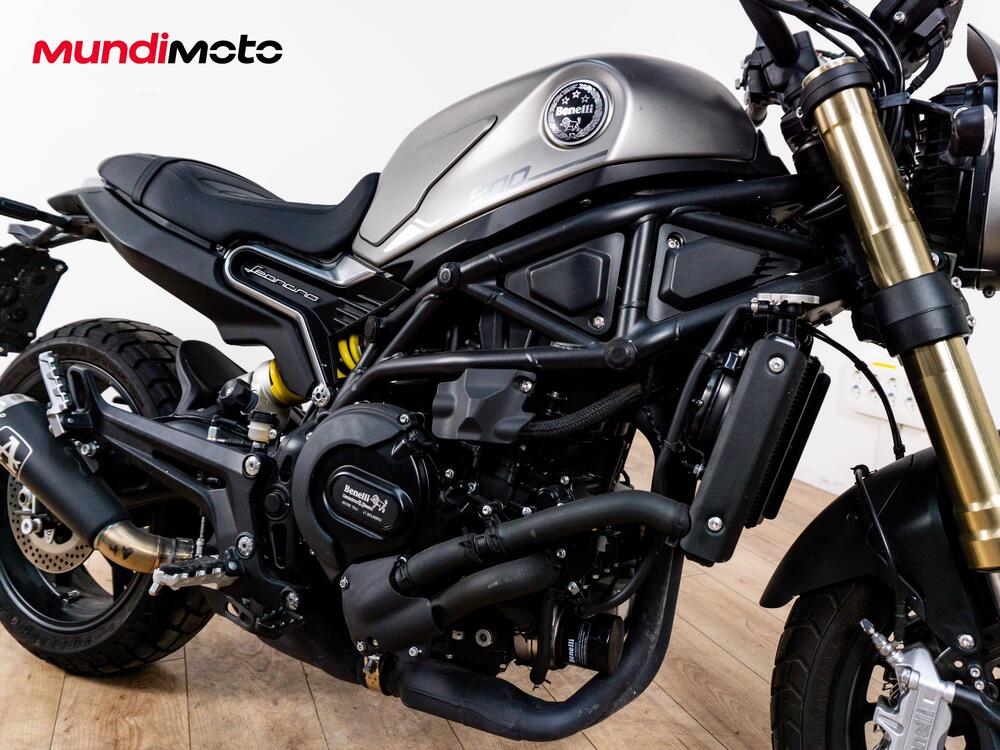 Benelli Leoncino 800 (2022 - 25) (5)