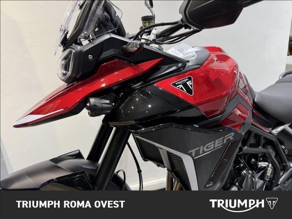 Triumph Tiger 900 GT Pro (2024 - 25) (5)