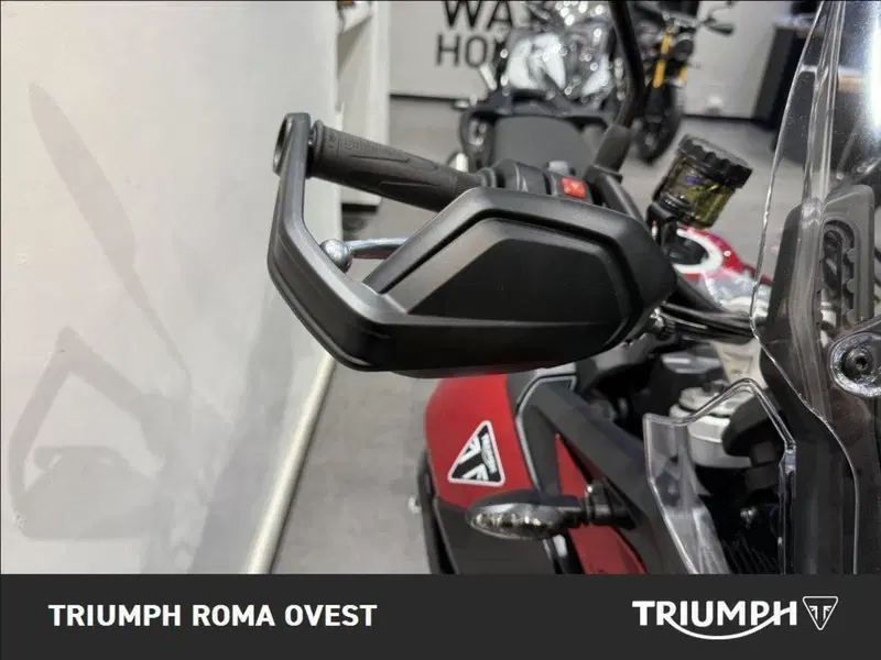 Triumph Tiger 900 GT Pro (2024 - 26) (11)