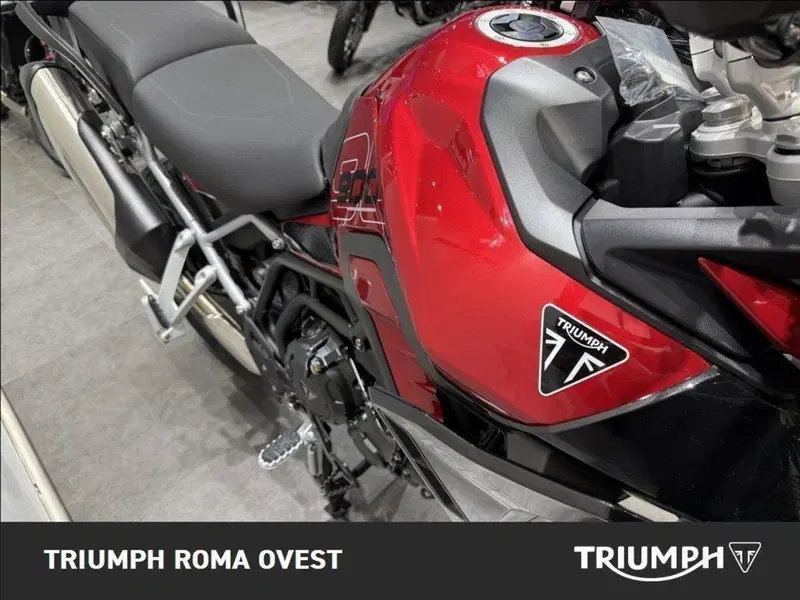 Triumph Tiger 900 GT Pro (2024 - 26) (10)