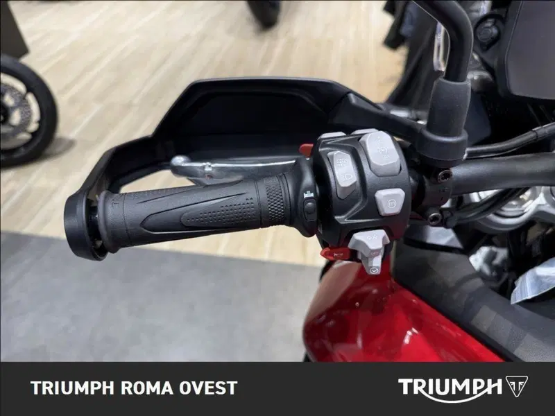 Triumph Tiger 900 GT Pro (2024 - 26) (13)