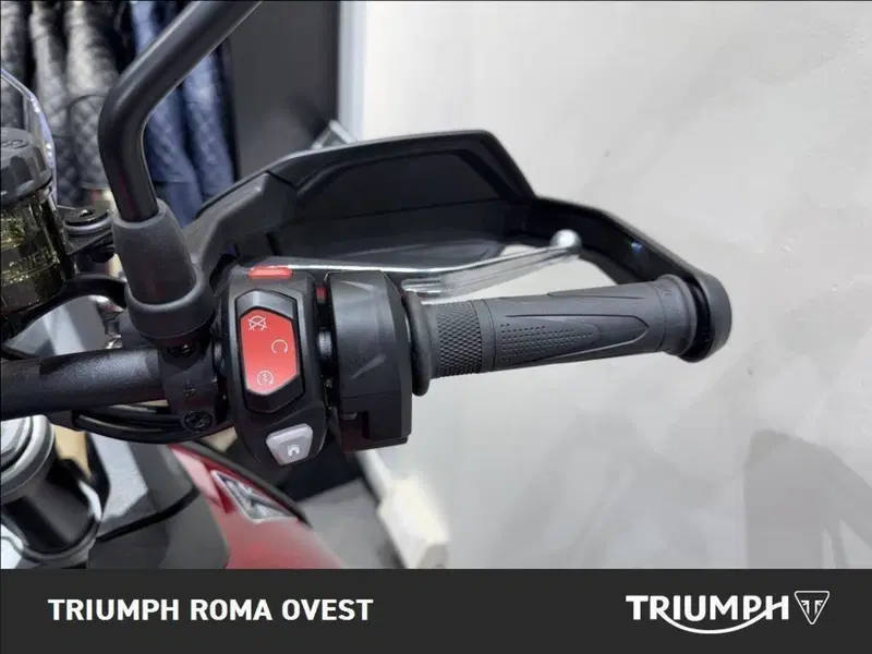 Triumph Tiger 900 GT Pro (2024 - 26) (14)