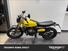 Fantic Motor Caballero 500 Scrambler (2024) (7)