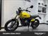 Fantic Motor Caballero 500 Scrambler (2024) (11)