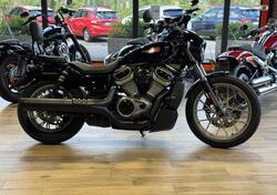Harley-Davidson Nightster Special (2023 - 25) usata