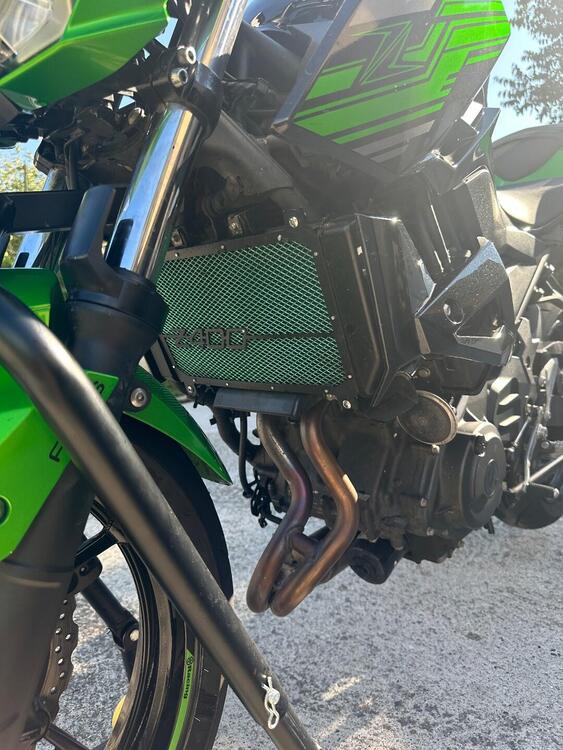 Kawasaki Z 400 (2019 - 20) (4)