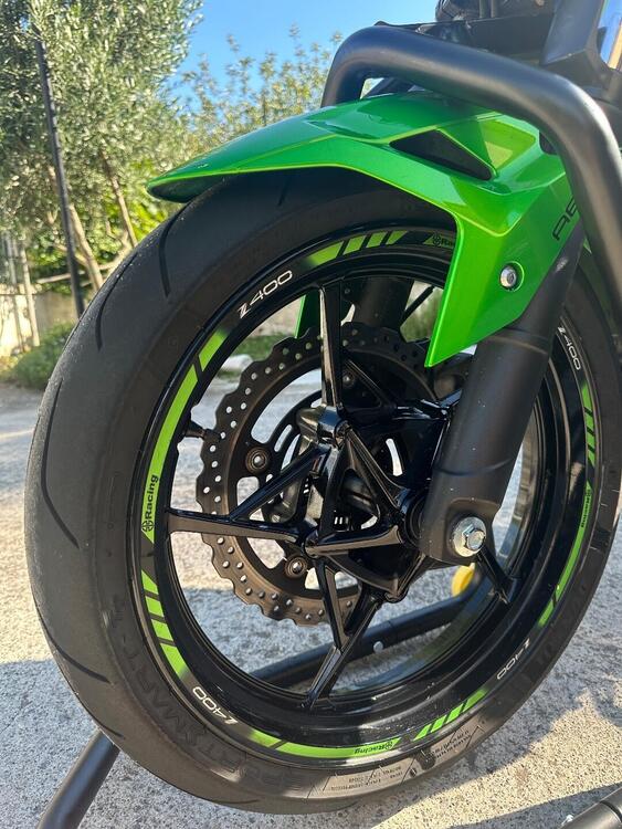 Kawasaki Z 400 (2019 - 20) (5)