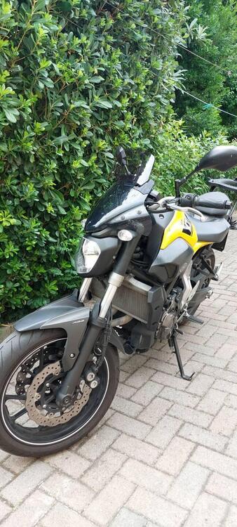 Yamaha MT-07 (2014 - 16) (3)